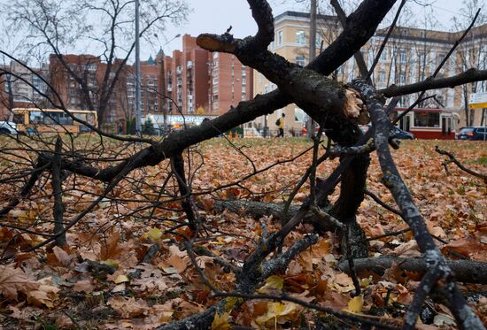 Последствия ночного урагана в Санкт-Петербурге