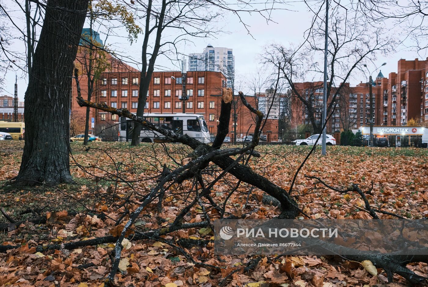 Последствия ночного урагана в Санкт-Петербурге