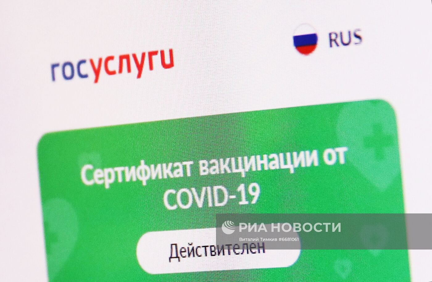 Проверка QR-кодов в музеях Краснодара