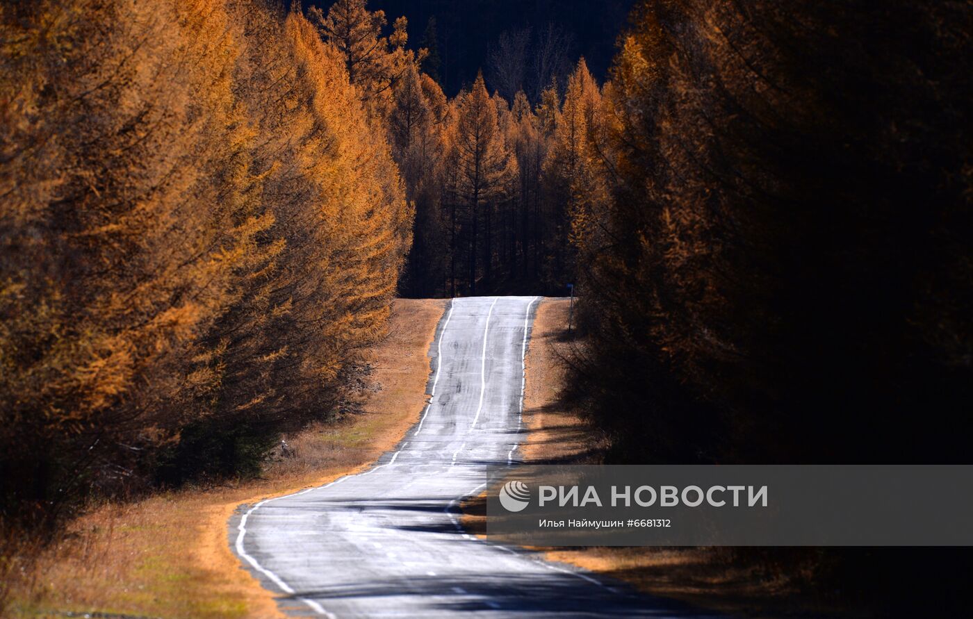 Ландшафты среднегорья на западе Тувы