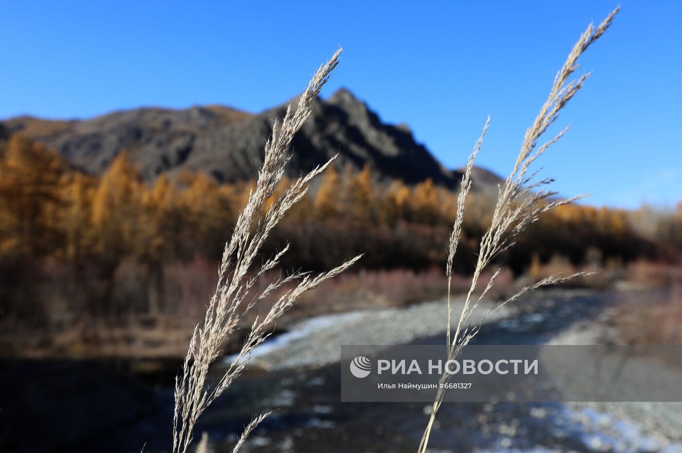 Ландшафты среднегорья на западе Тувы