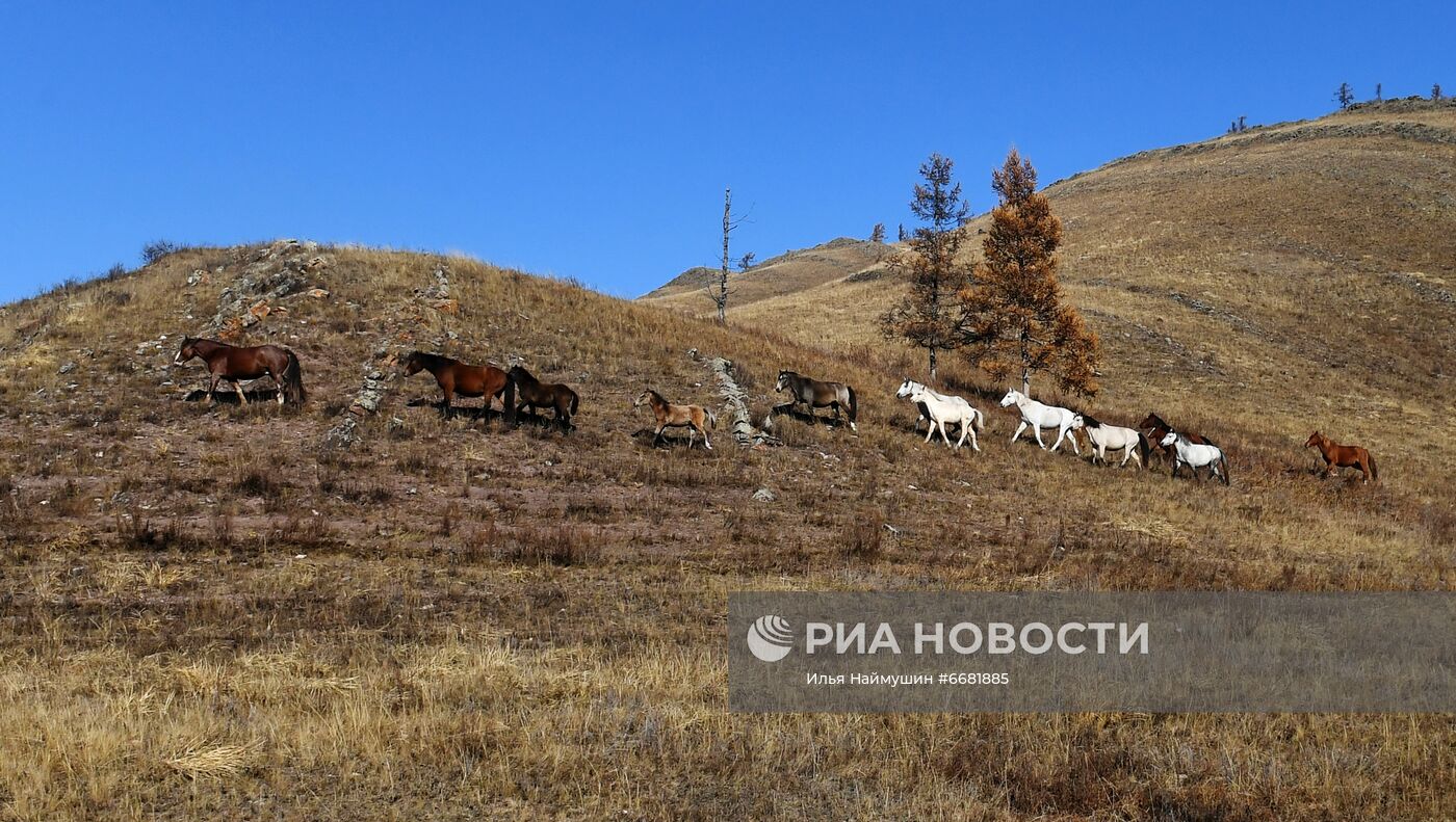 Ландшафты Хакасии