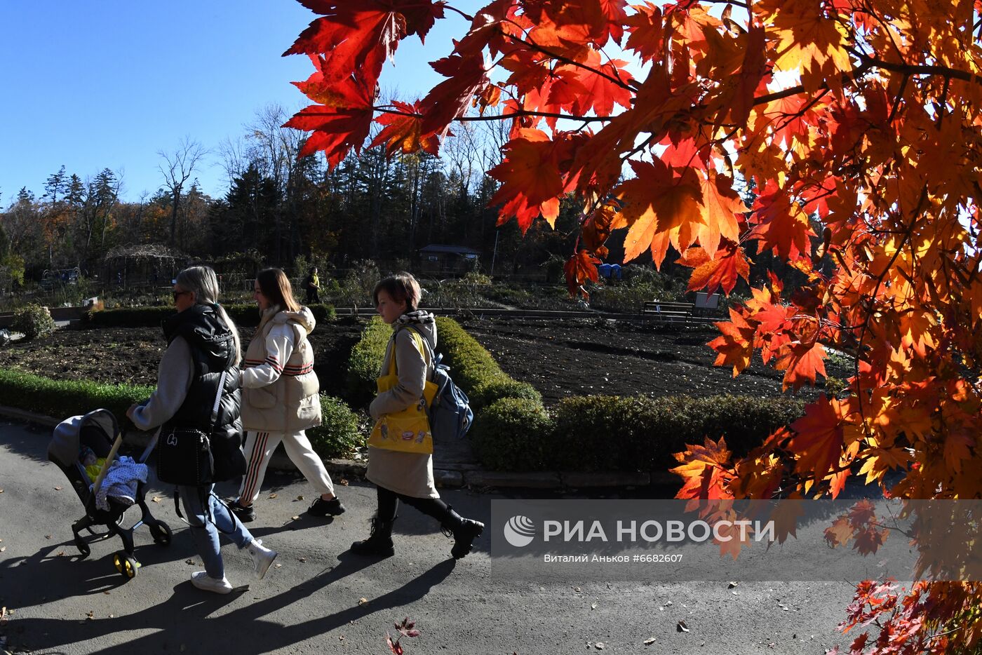 Осень во Владивостоке