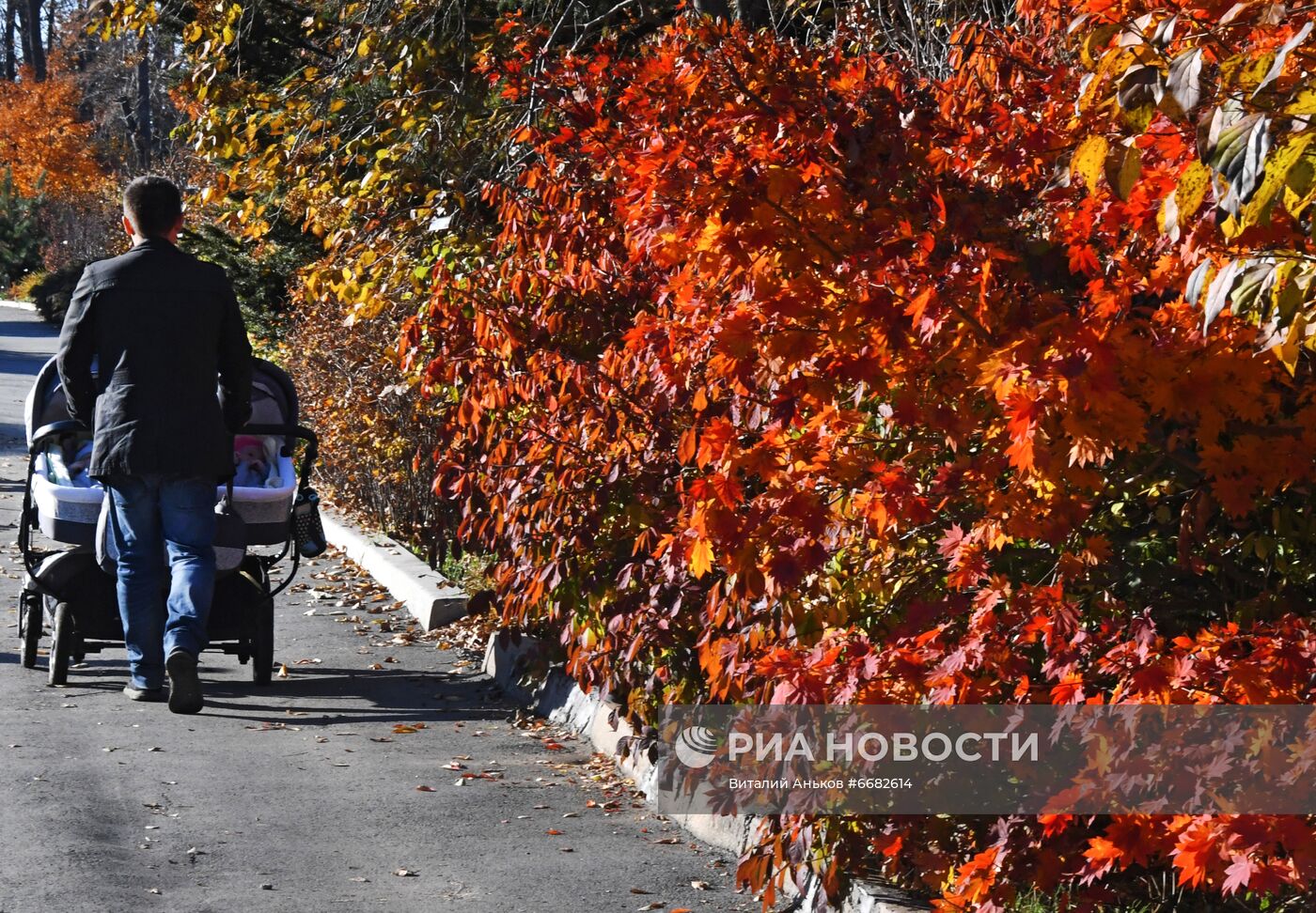 Осень во Владивостоке