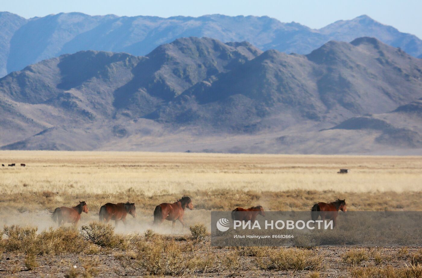 Горные плато Западной Тывы