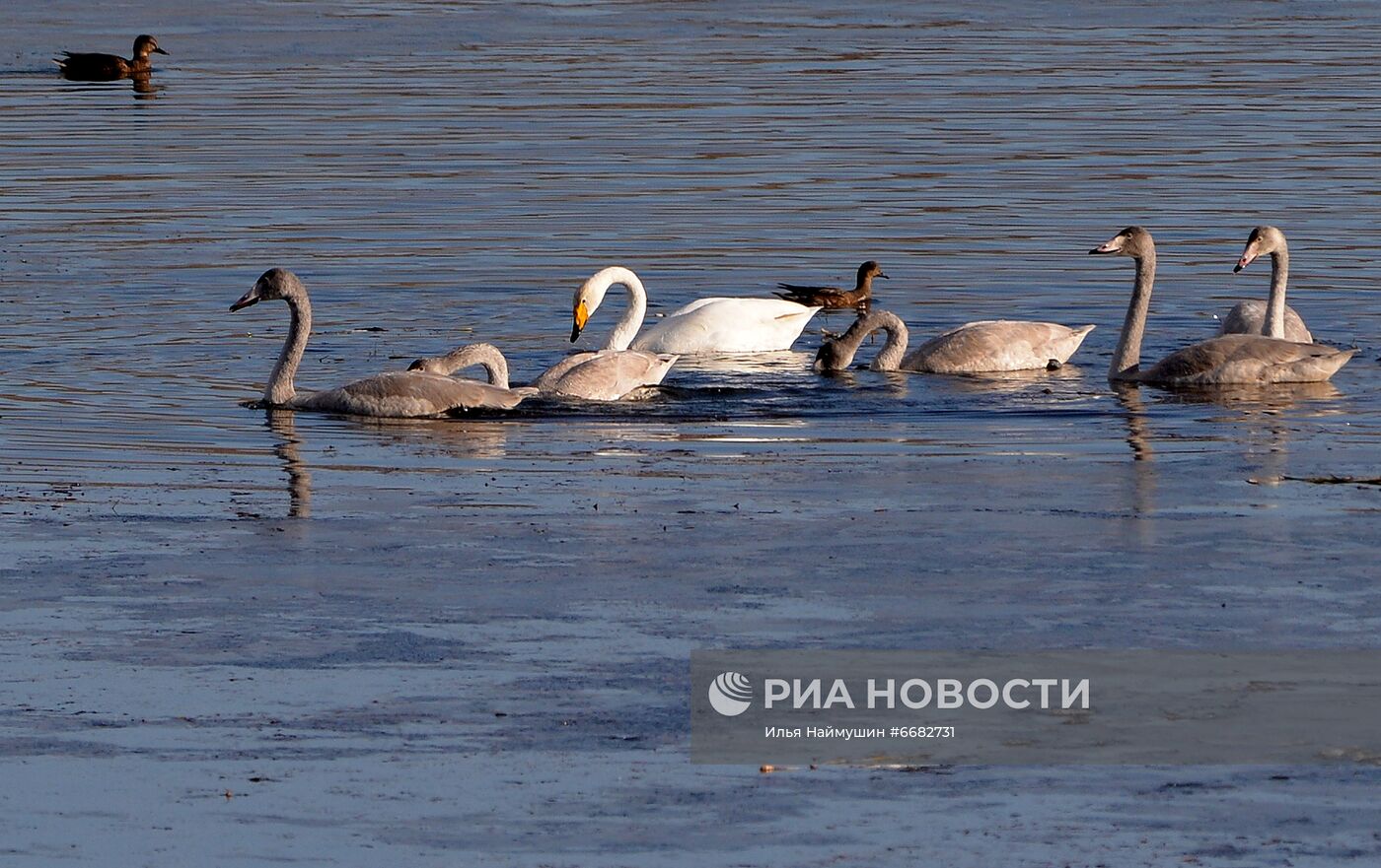 Горные плато Западной Тывы