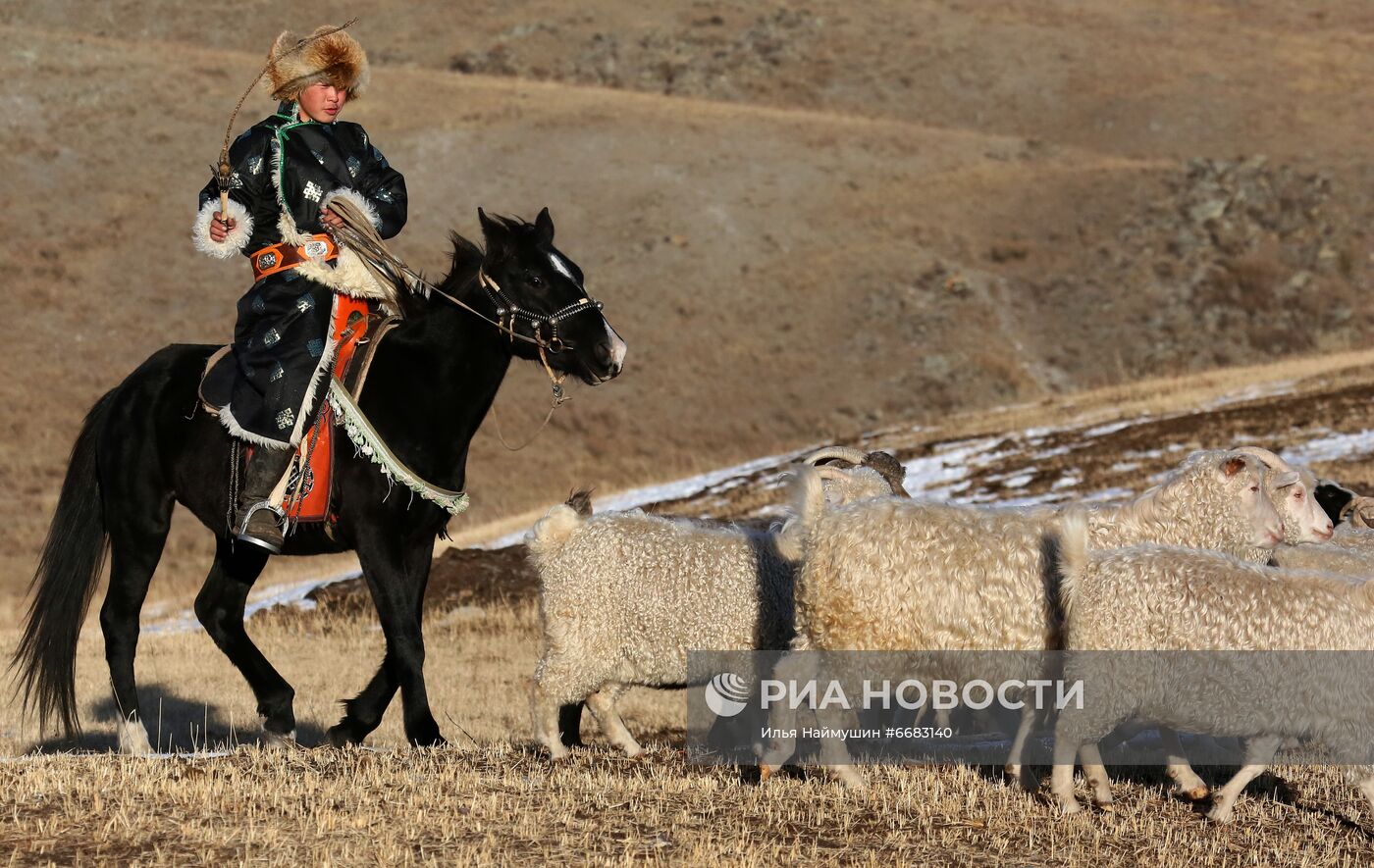 Чабанская стоянка в горах Тывы