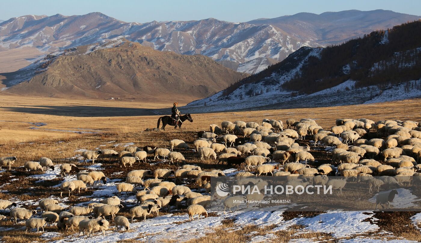 Чабанская стоянка в горах Тывы