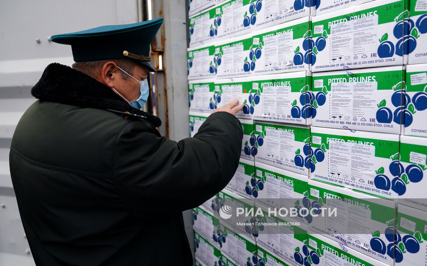 Работа таможни в Морском порту им. Н. Хазова в Калининграде