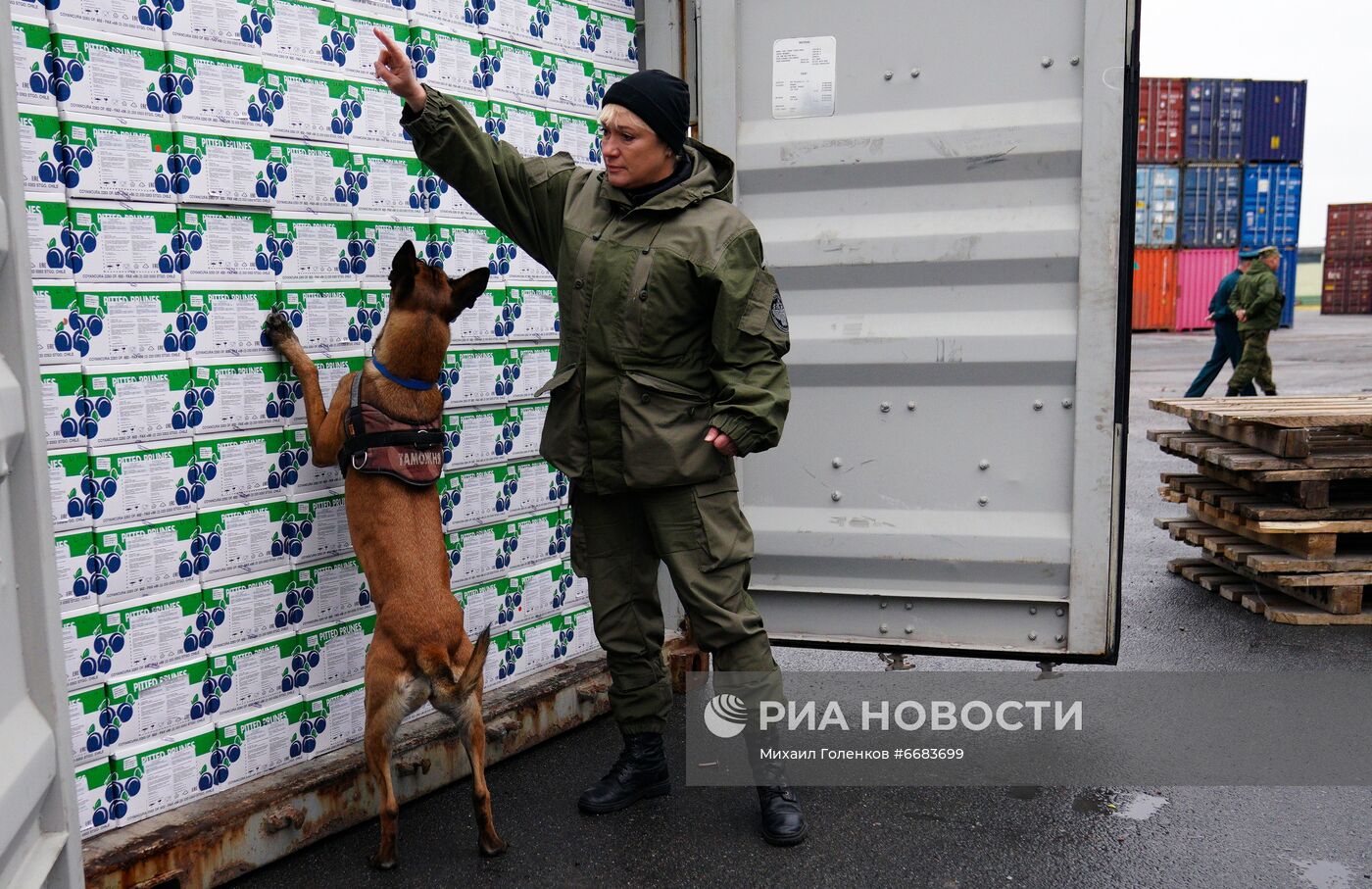 Работа таможни в Морском порту им. Н. Хазова в Калининграде