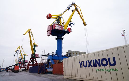 Работа таможни в Морском порту им. Н. Хазова в Калининграде