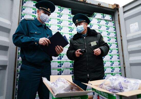 Работа таможни в Морском порту им. Н. Хазова в Калининграде