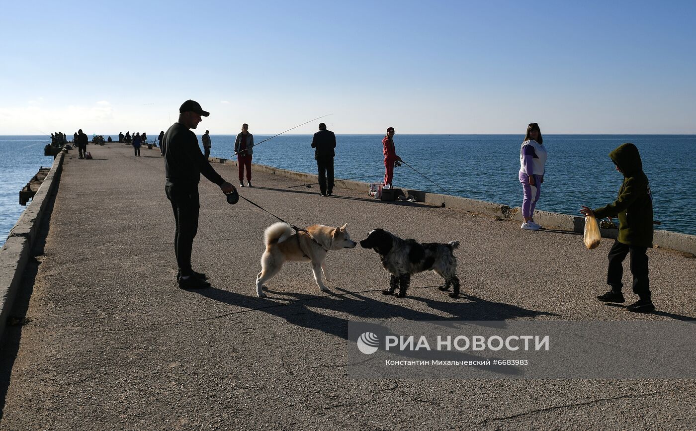 Города России. Ялта