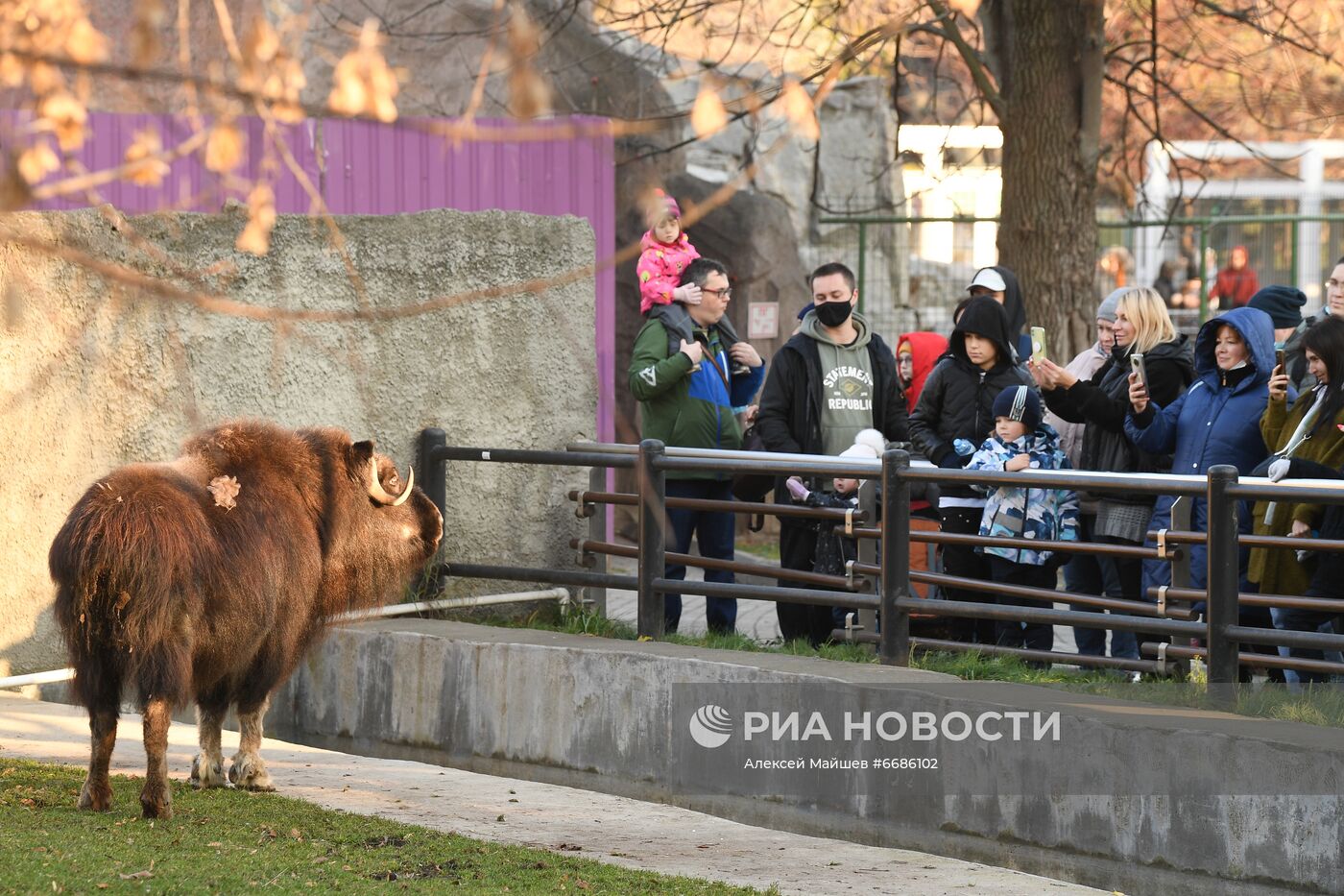 Московский зоопарк во время нерабочих дней