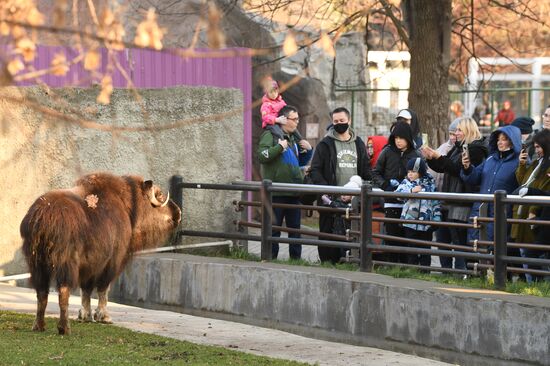 Московский зоопарк во время нерабочих дней