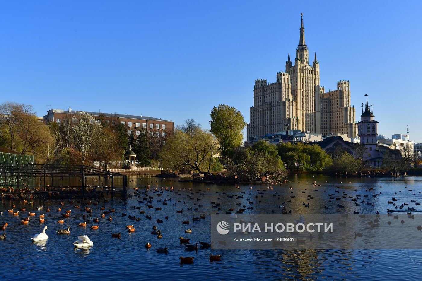 Московский зоопарк во время нерабочих дней