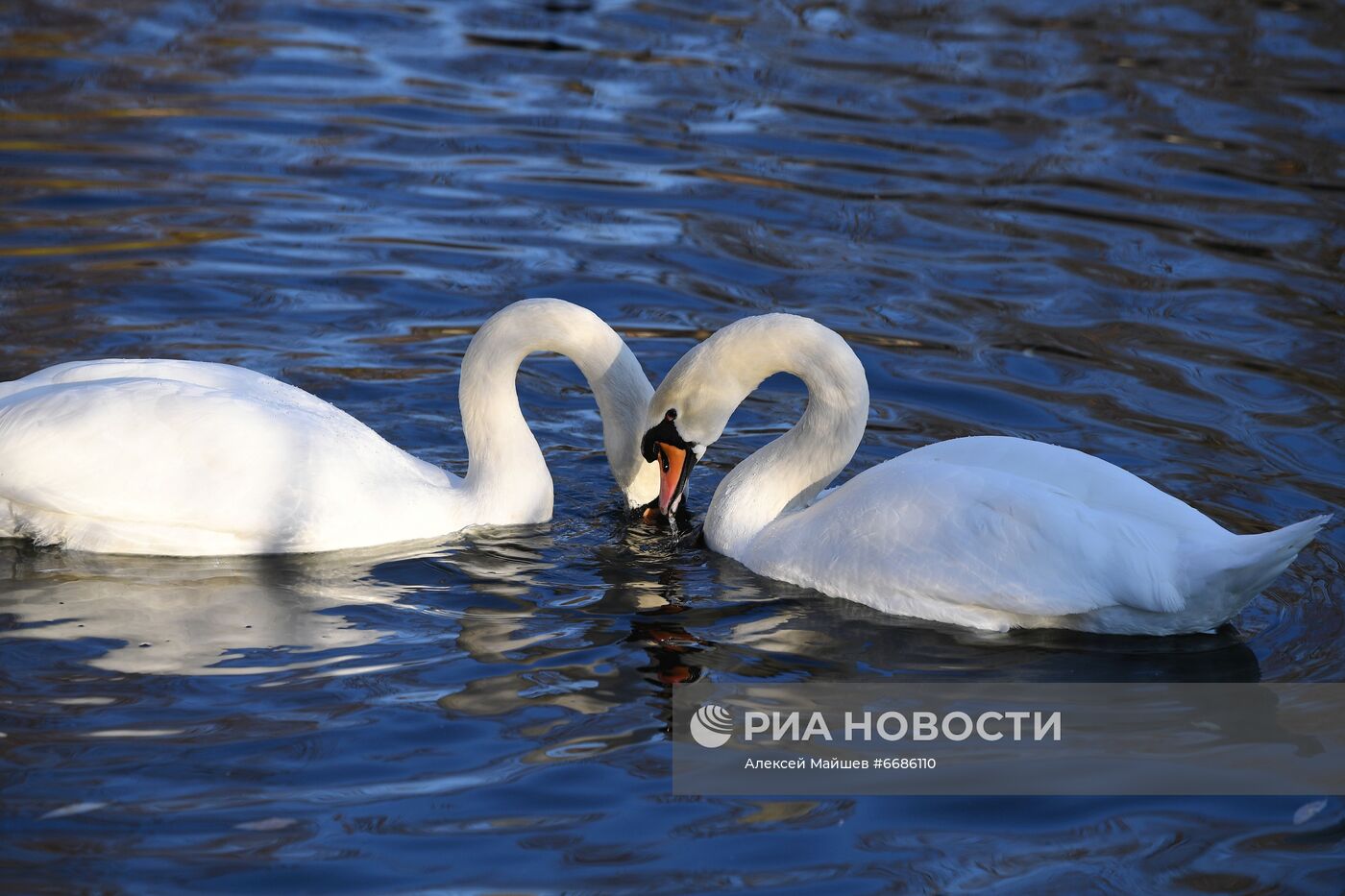 Московский зоопарк во время нерабочих дней
