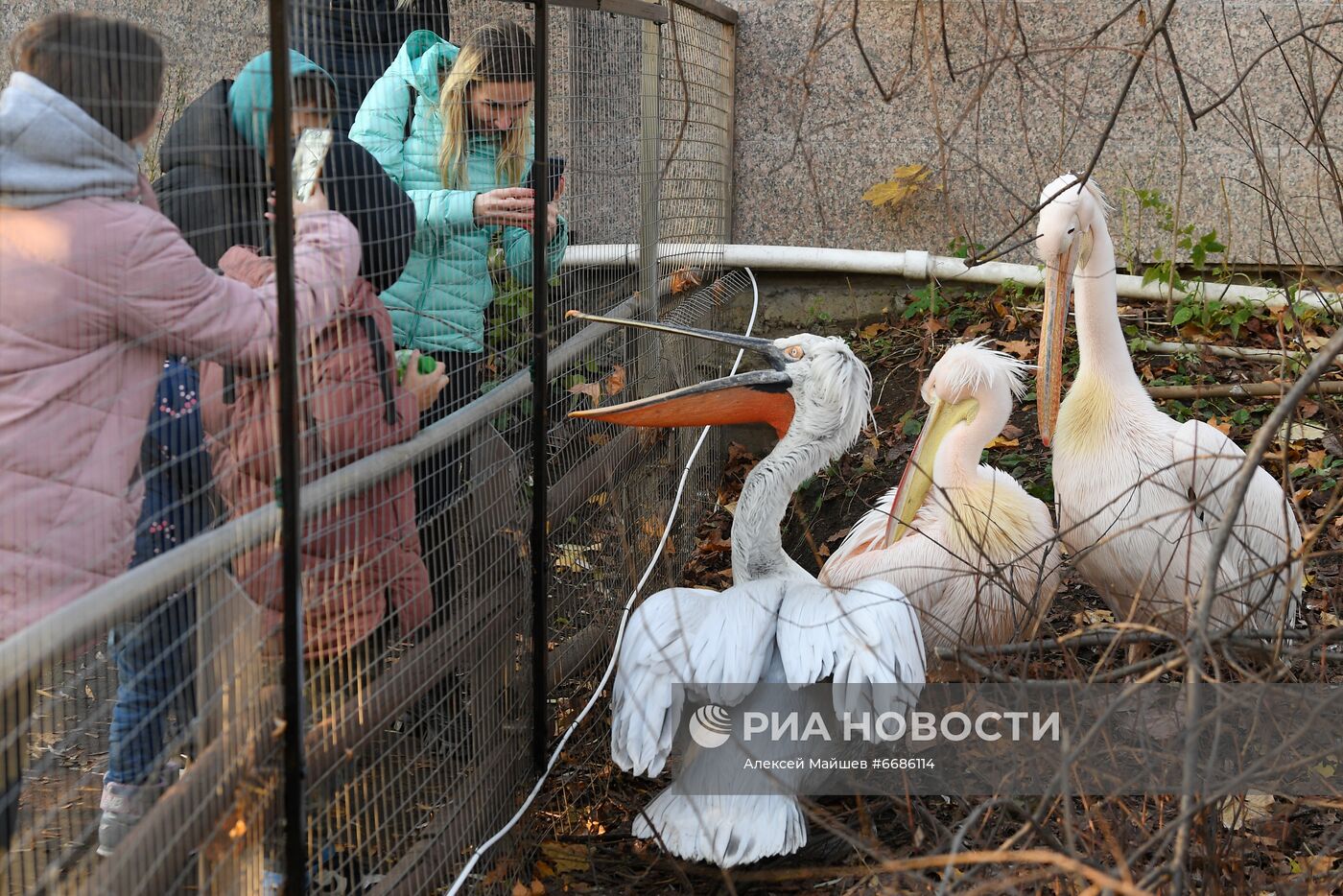 Московский зоопарк во время нерабочих дней