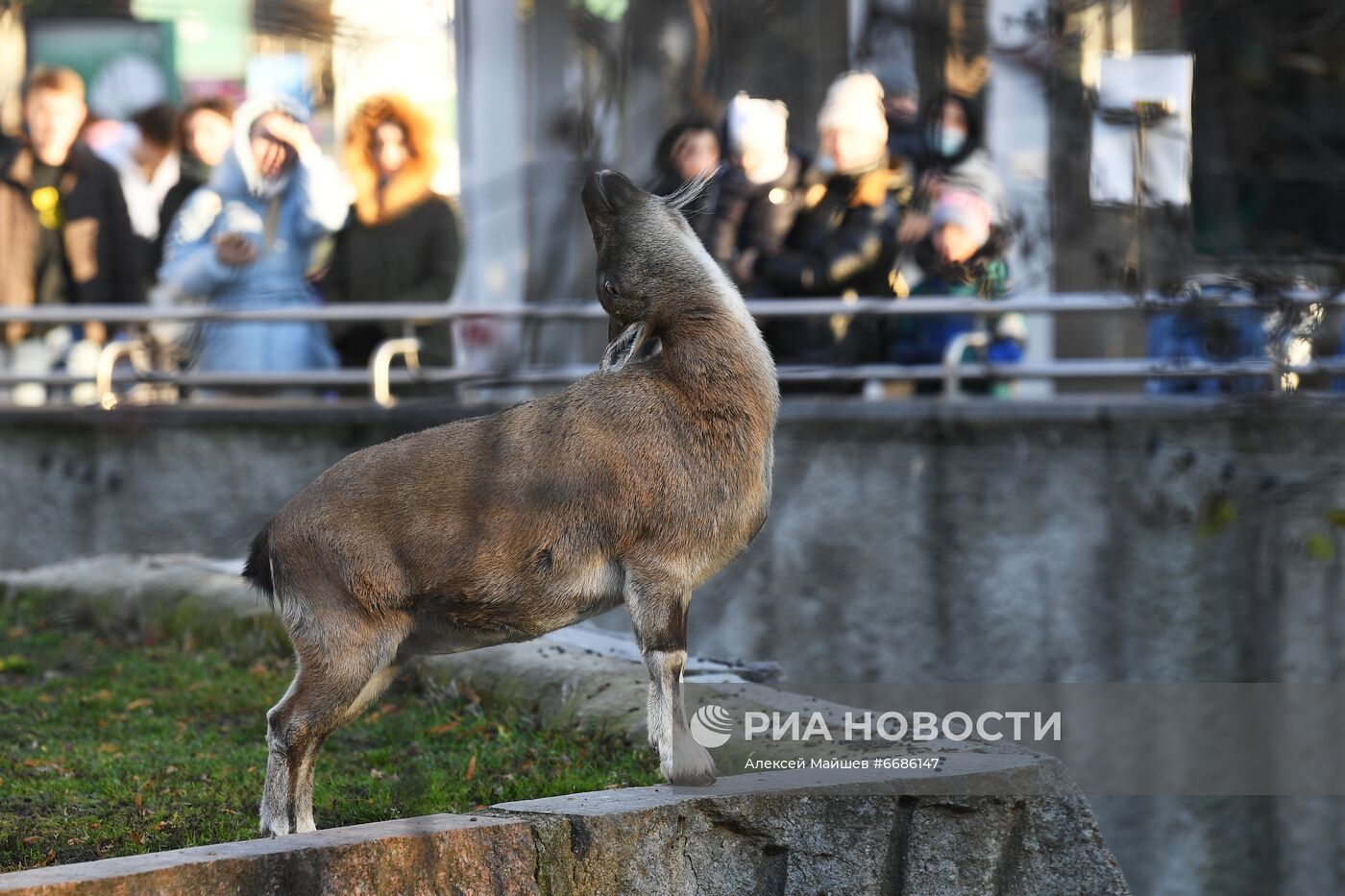 Московский зоопарк во время нерабочих дней | РИА Новости Медиабанк