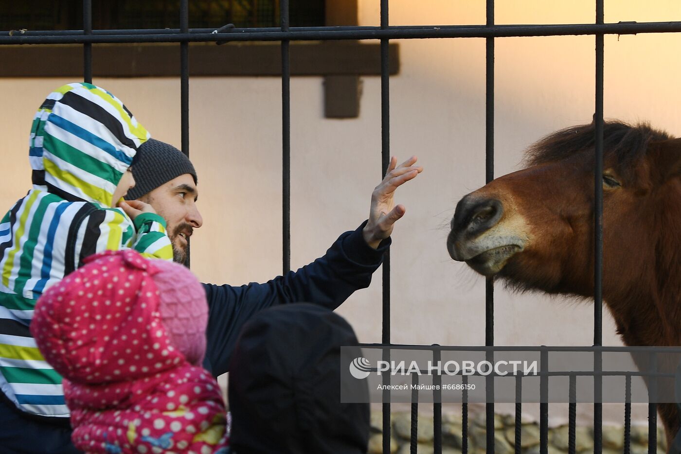 Московский зоопарк во время нерабочих дней