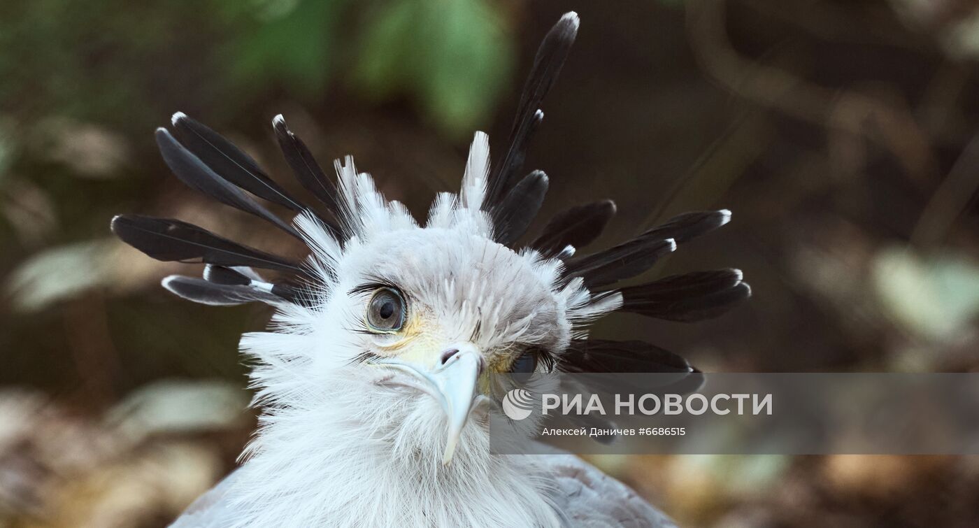 ФОТО НЕДЕЛИ