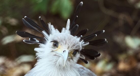 ФОТО НЕДЕЛИ