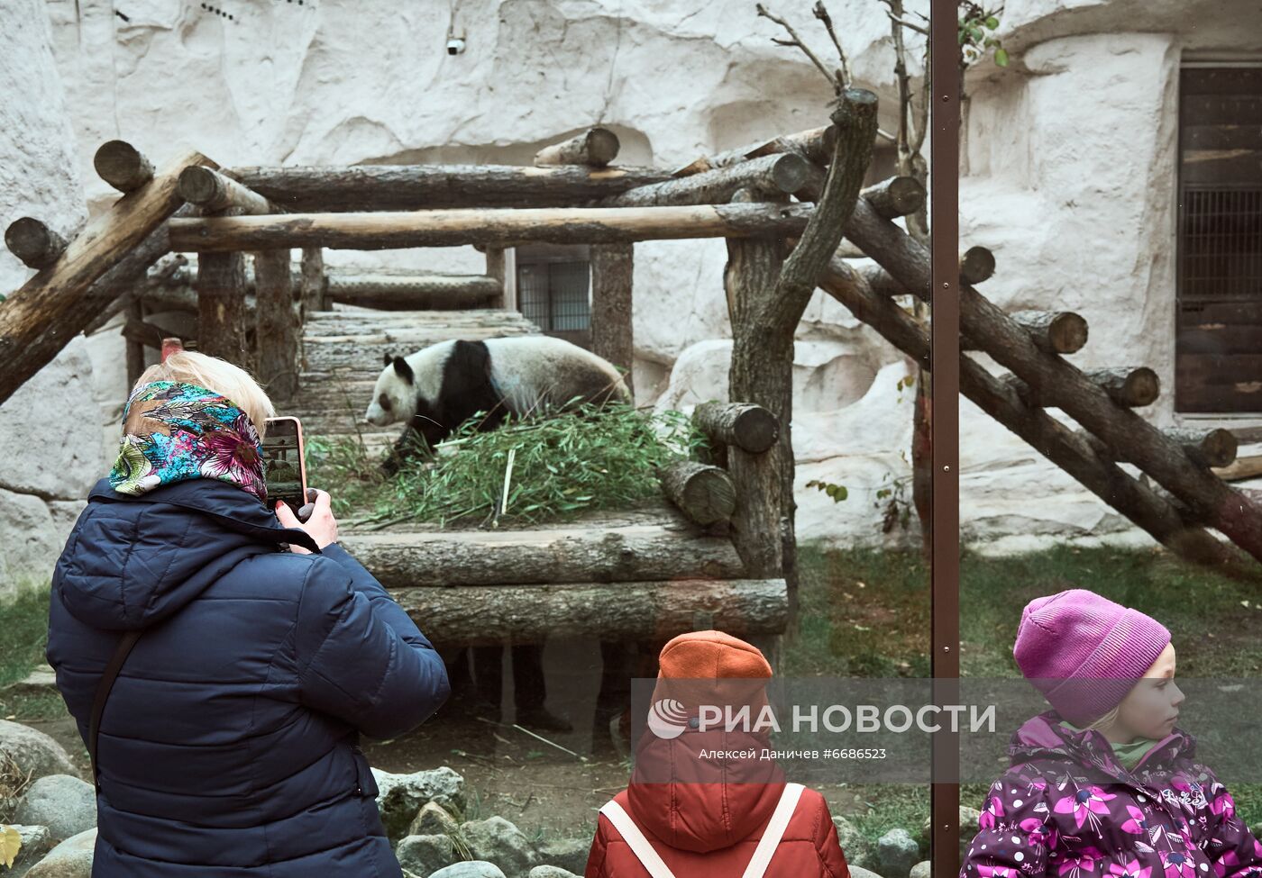 Московский зоопарк во время нерабочих дней