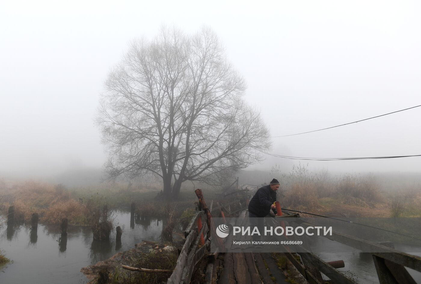 Туман во Владимирской области