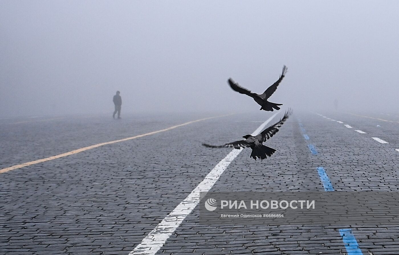 Туман в Москве