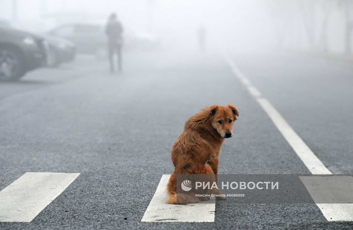 Туман в Москве