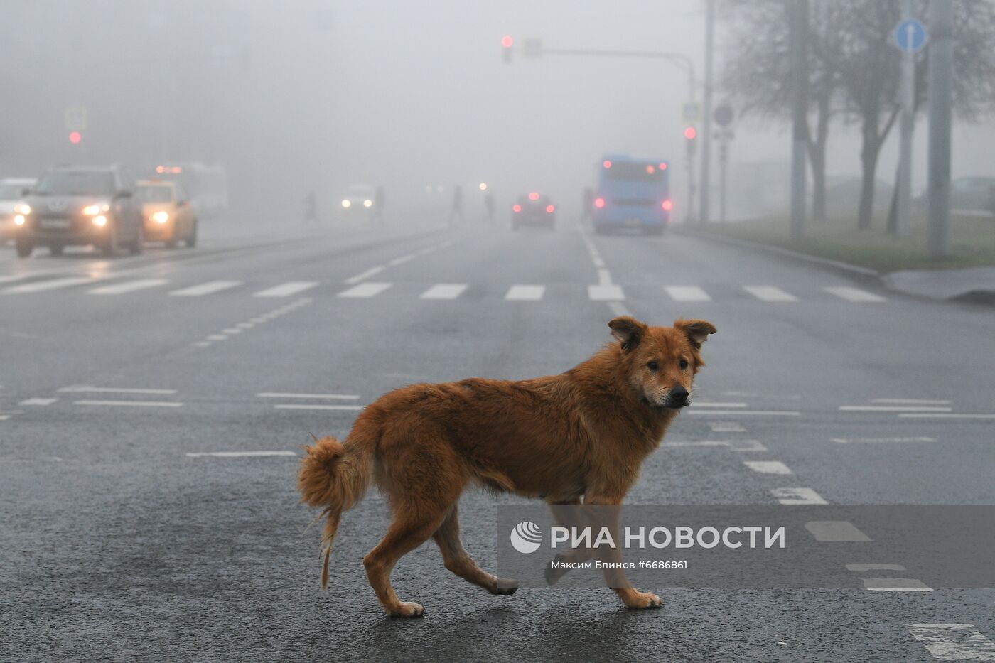 Туман в Москве