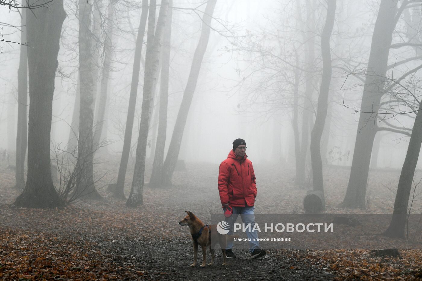 Туман в Москве