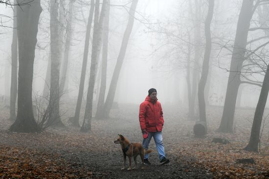 Туман в Москве