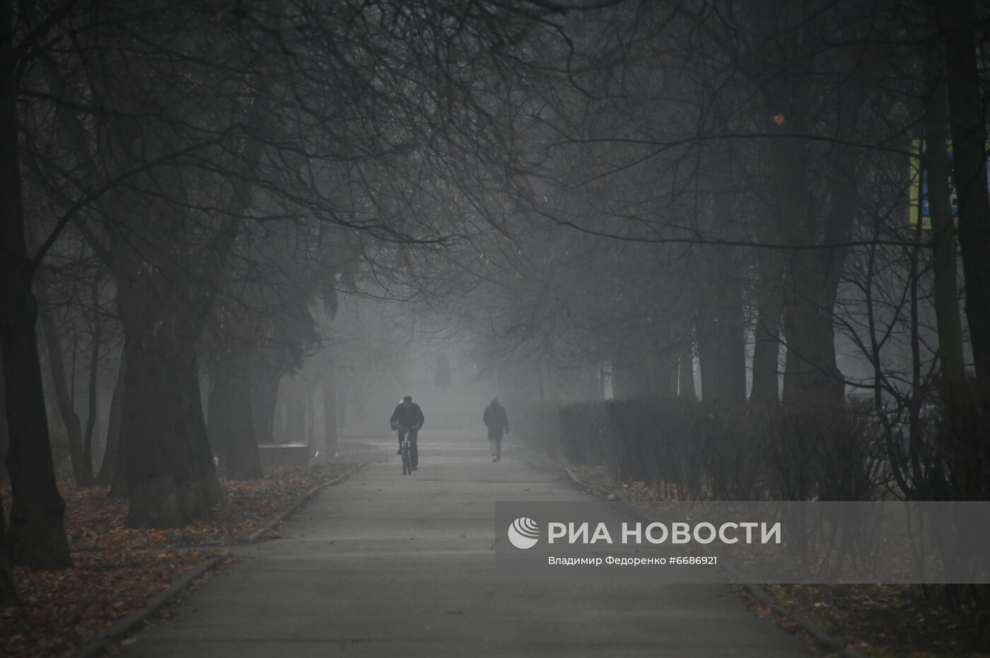 Туман в Москве