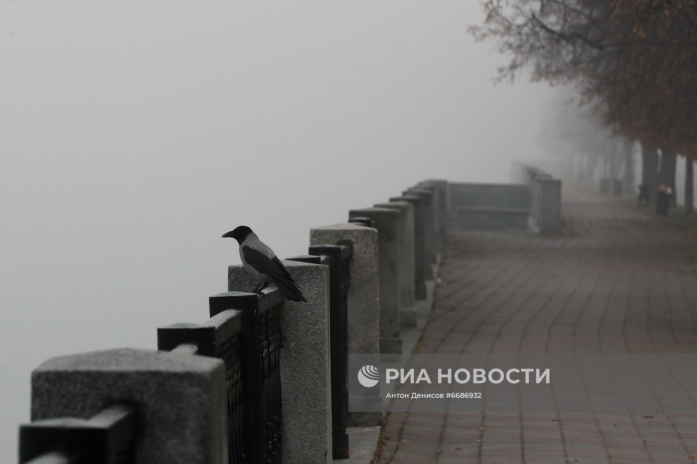 Туман в Москве