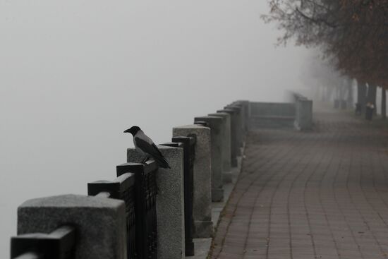 Туман в Москве