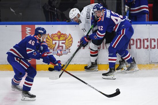 Хоккей. КХЛ. Матч СКА - "Металлург"