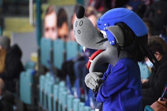 Хоккей. КХЛ. Матч СКА - "Металлург"