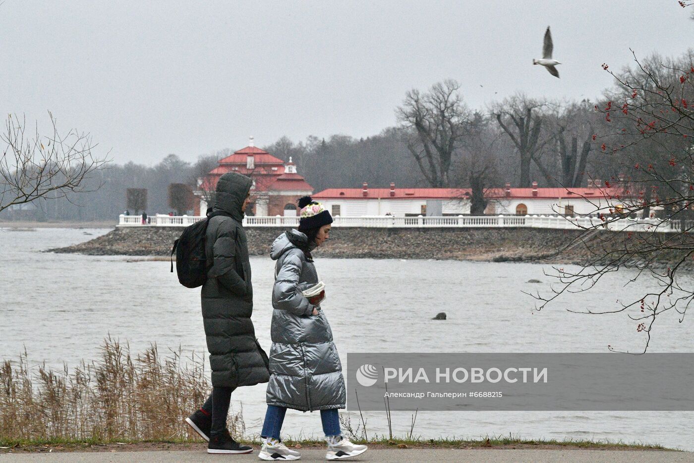 Петергоф начал работу по системе QR-кодов