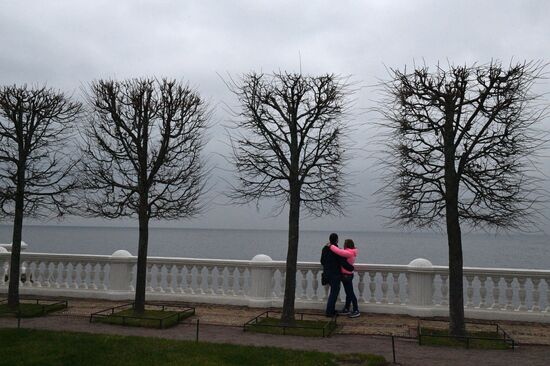 Петергоф начал работу по системе QR-кодов