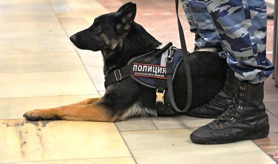 Полиция задержала людей, собиравшихся участвовать в несанкционированном "Русском марше" в Москве