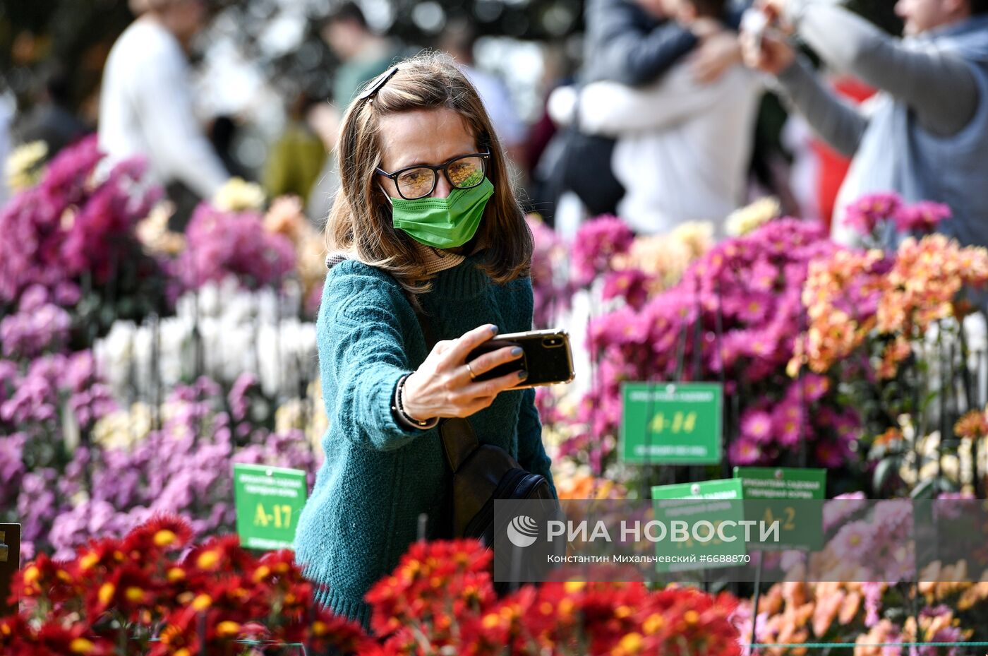 "Бал хризантем" в Никитском ботаническом саду