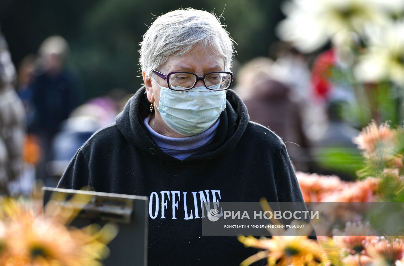 "Бал хризантем" в Никитском ботаническом саду