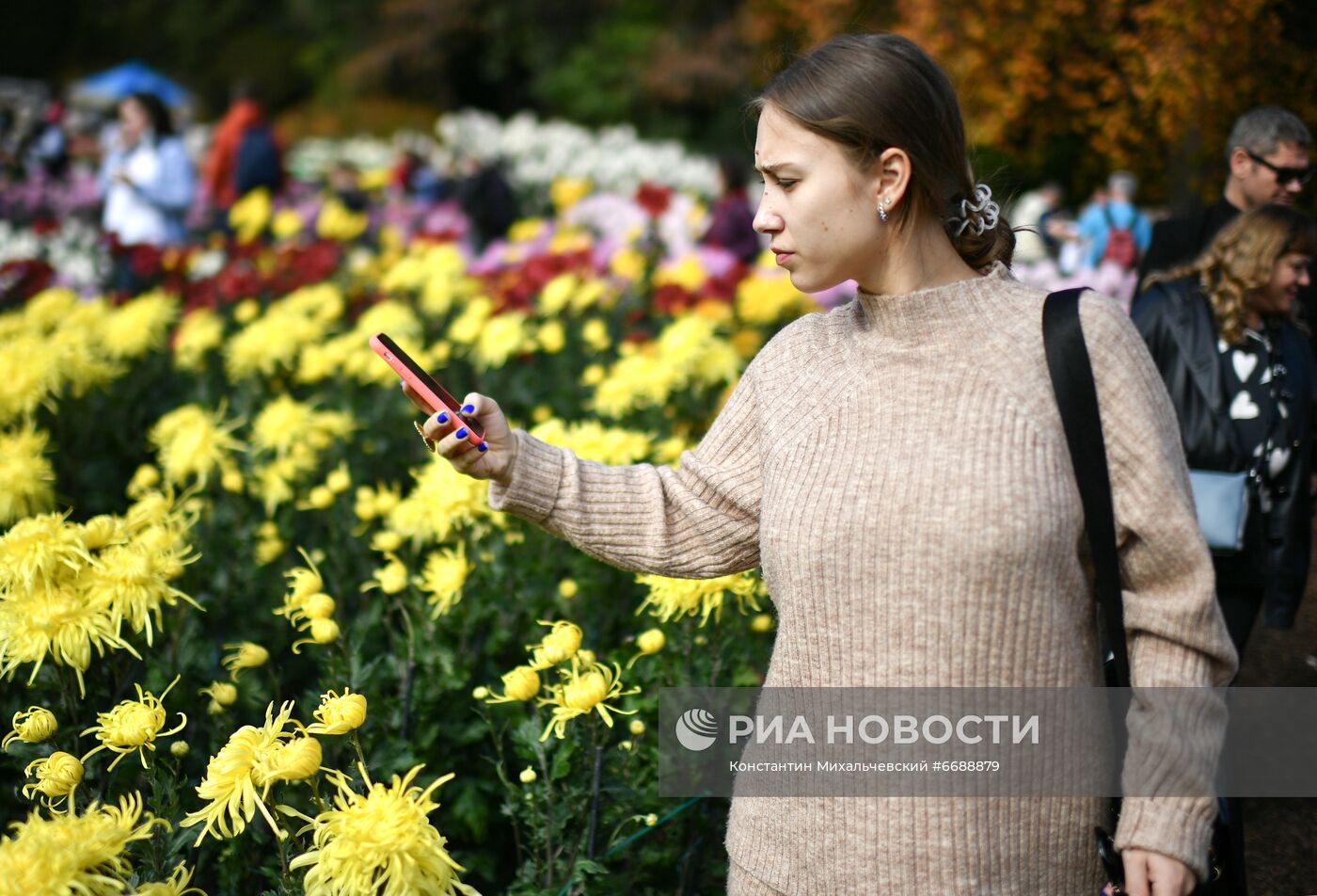 "Бал хризантем" в Никитском ботаническом саду