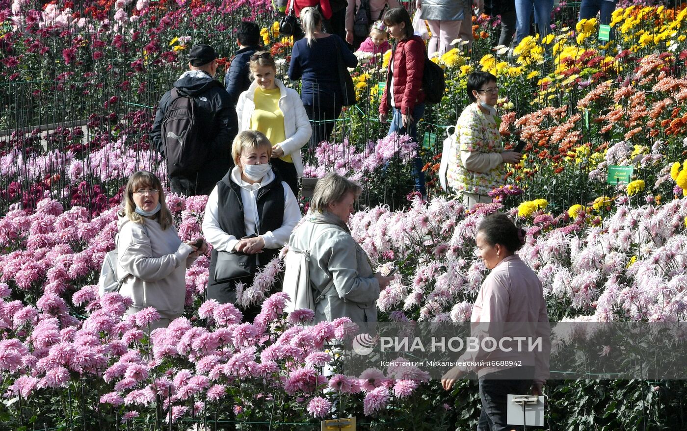 "Бал хризантем" в Никитском ботаническом саду