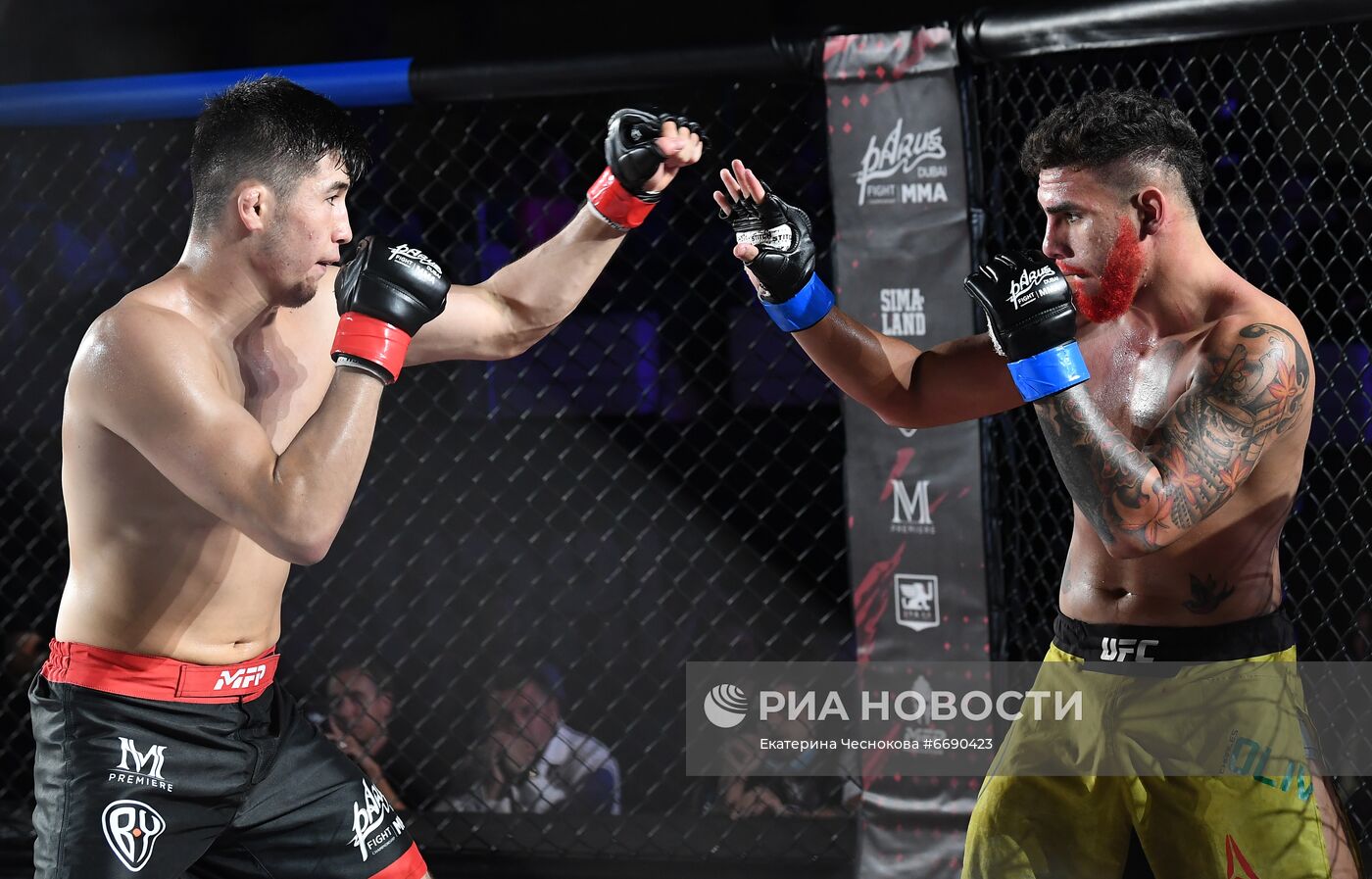 ММА турнир PARUS Fight Championship