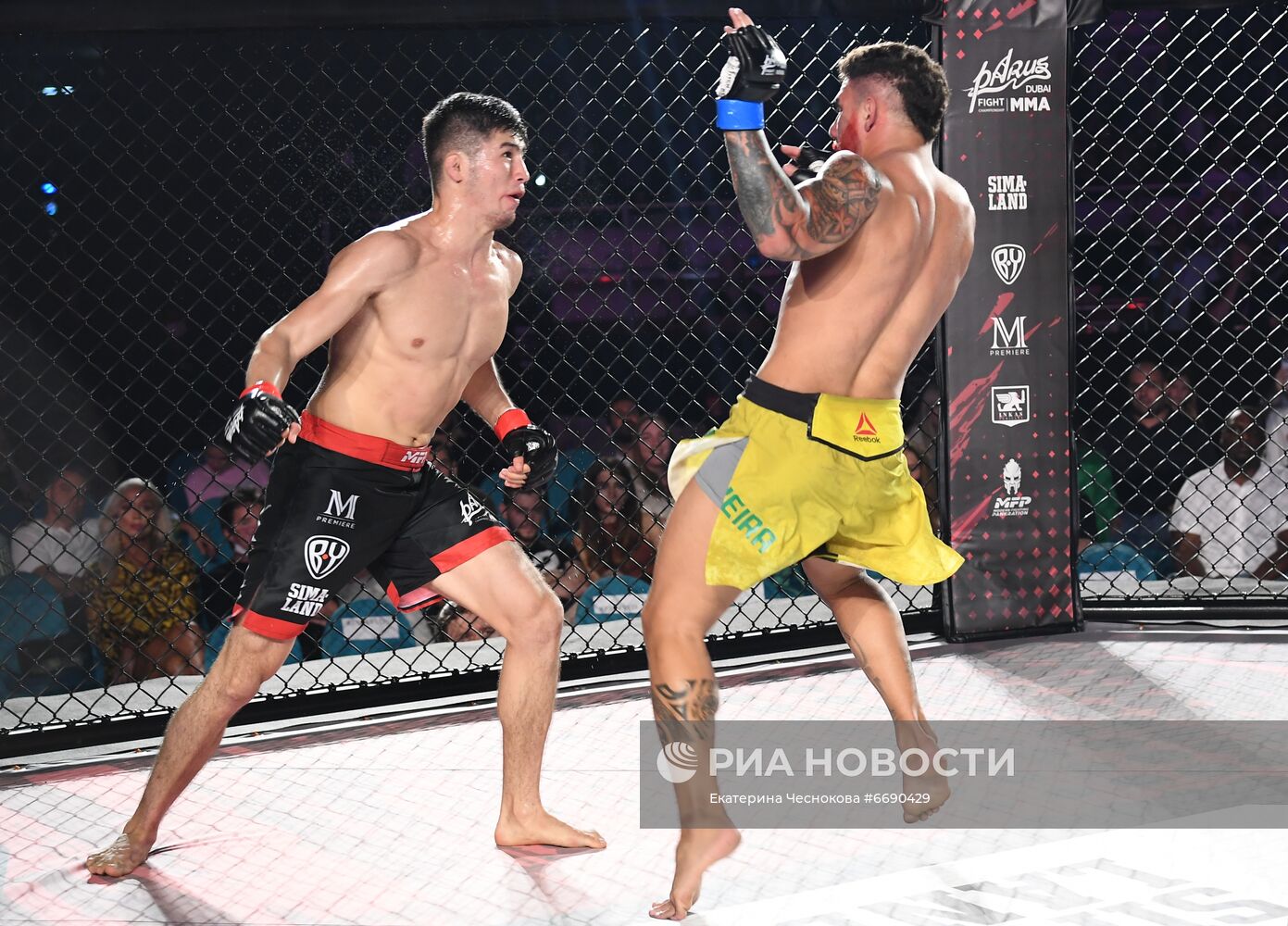 ММА турнир PARUS Fight Championship