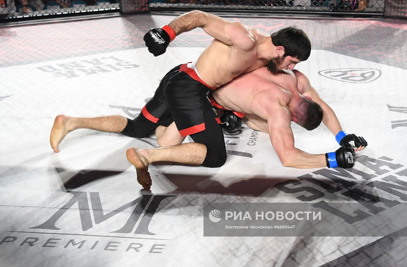 ММА турнир PARUS Fight Championship