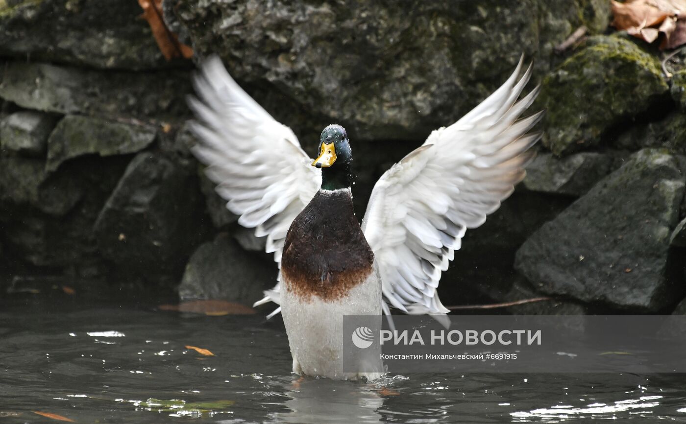 Осень в Симферополе