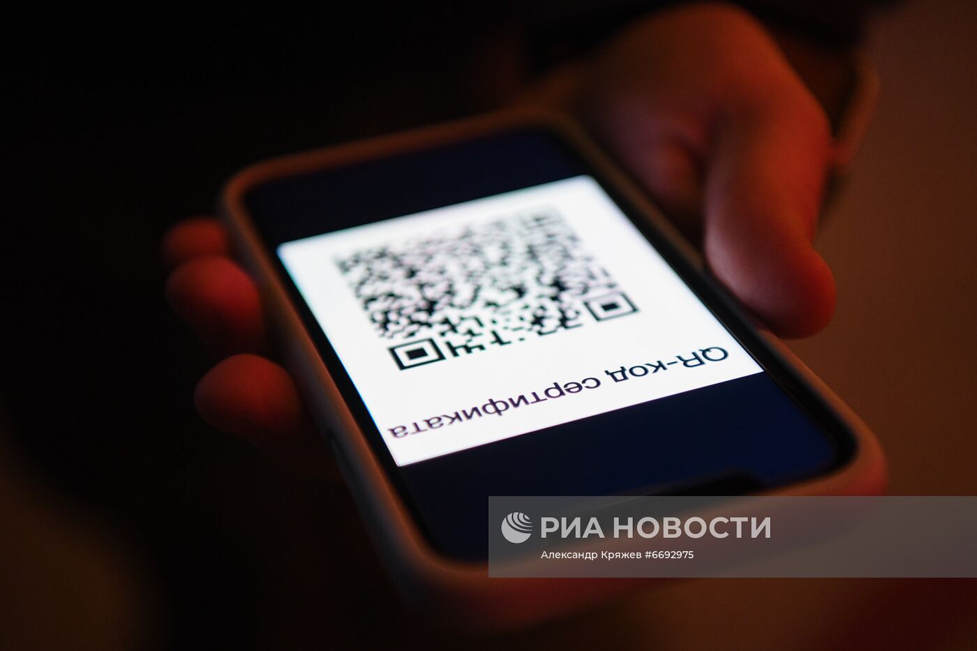 Проверка работы системы QR-кодов на предприятиях общепита в Новосибирске